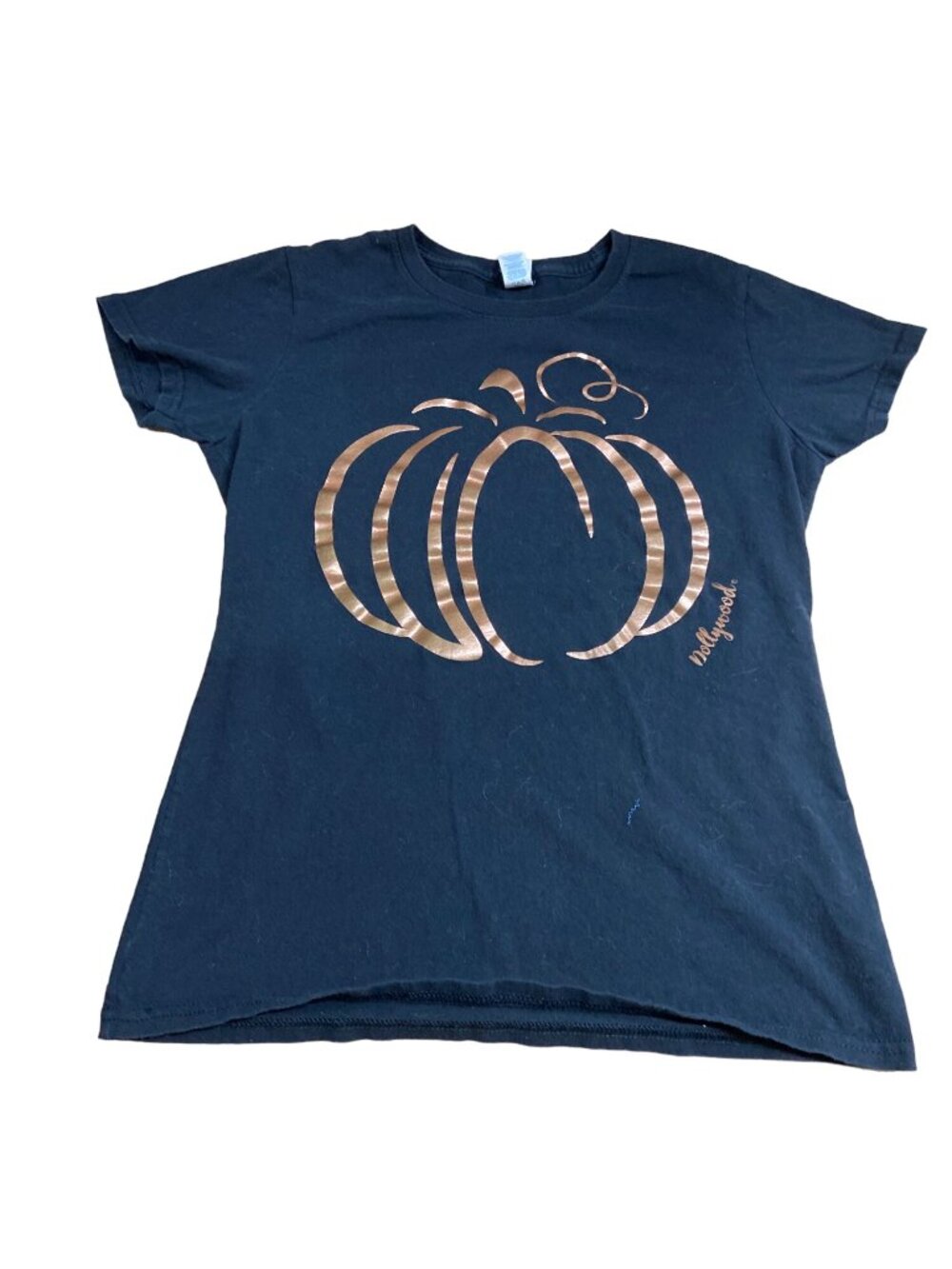 Delta Pro Womens Pumpkin T Shirt S Black Copper Fall Cottagecore Graphic Tee